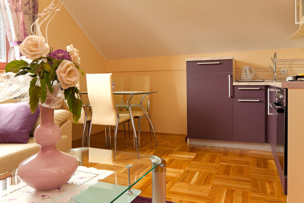 Apartments Tratincica Seliste Dreznicko Pokoj fotografie