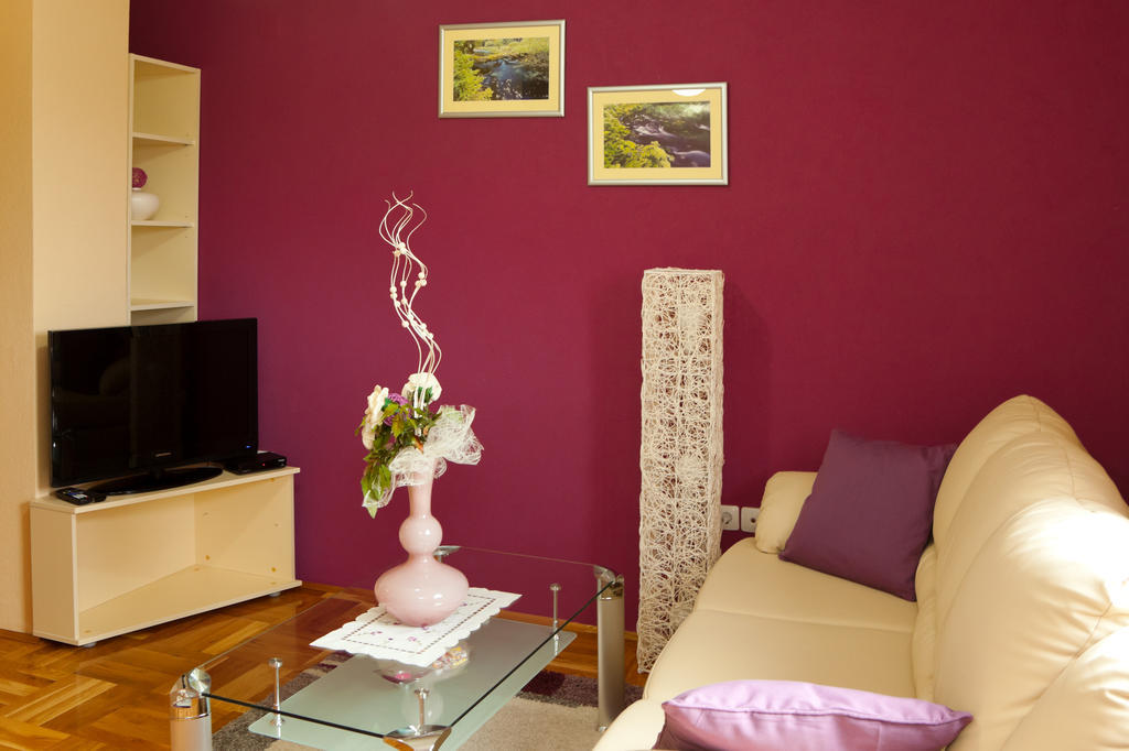 Apartments Tratincica Seliste Dreznicko Pokoj fotografie