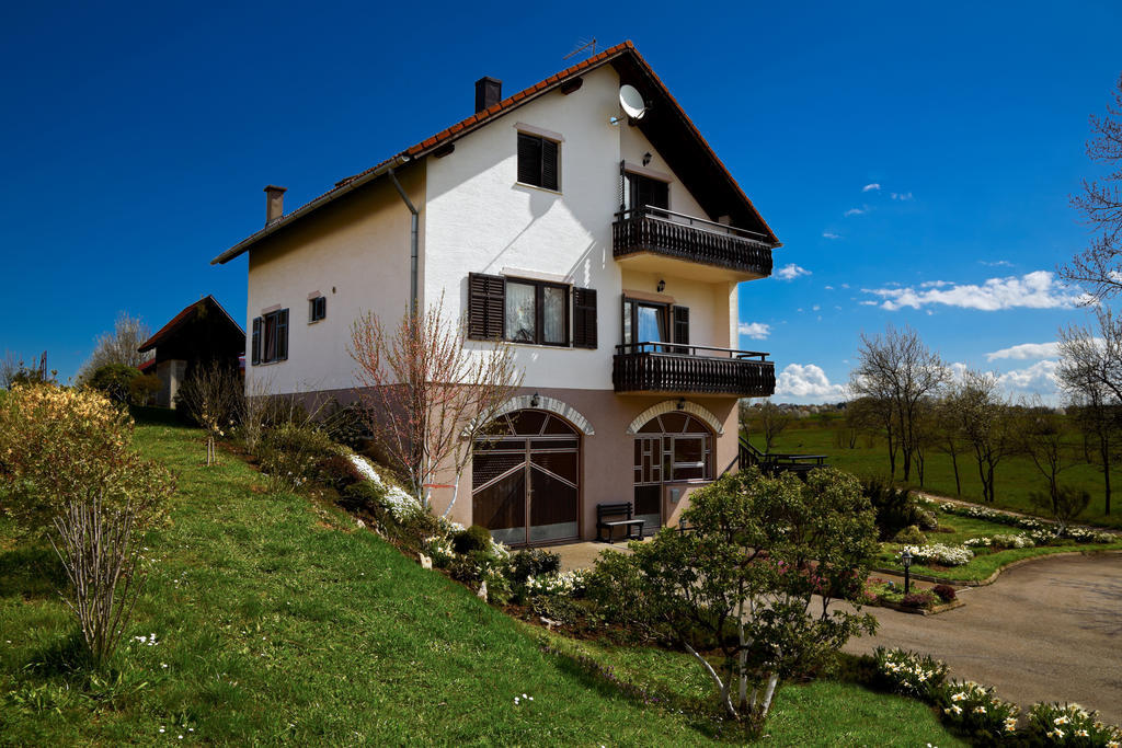 Apartments Tratincica Seliste Dreznicko Exteriér fotografie