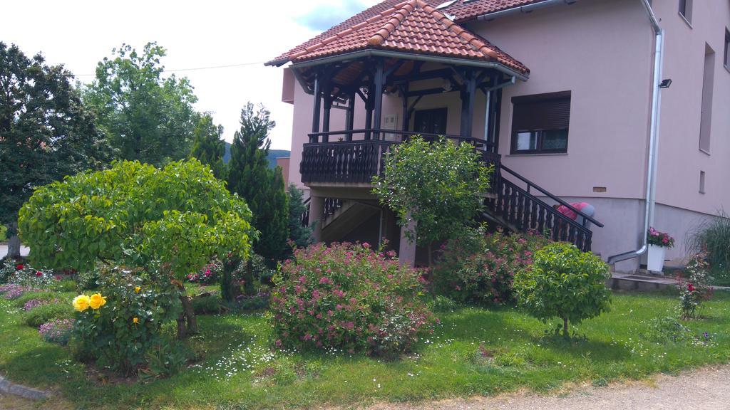 Apartments Tratincica Seliste Dreznicko Exteriér fotografie