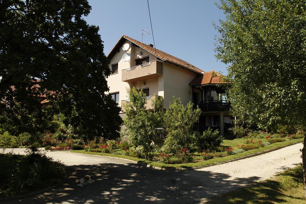 Apartments Tratincica Seliste Dreznicko Exteriér fotografie